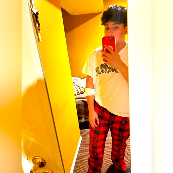 Meet your Posher, Enzo - Picture 1 of 1